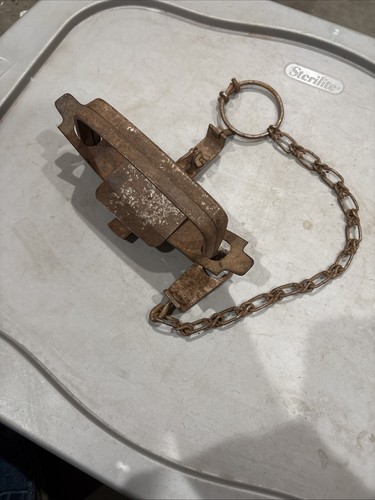 Used blake lamb - blake,