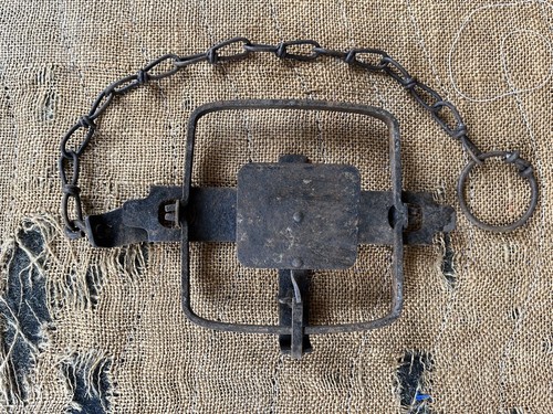 Vintage blake lamb - lamb, #2